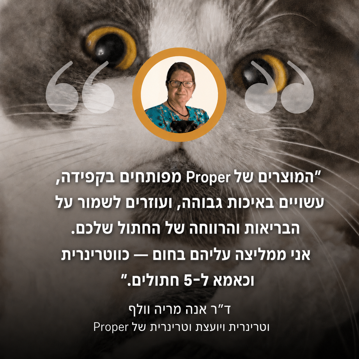 מזרקת proper - לחתול בריא