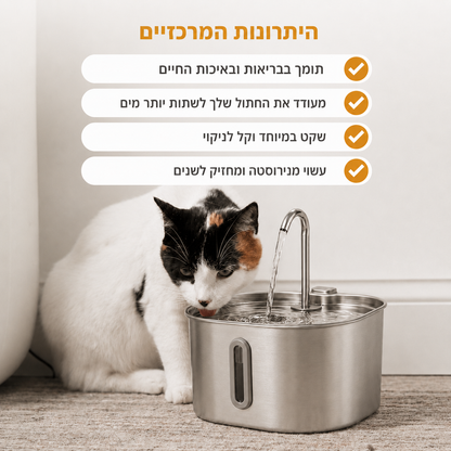 מזרקת proper - לחתול בריא
