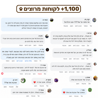 מזרקת פרופר - 2.2 ליטר