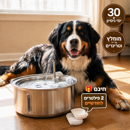 מזרקת פרופר - 2.2 ליטר