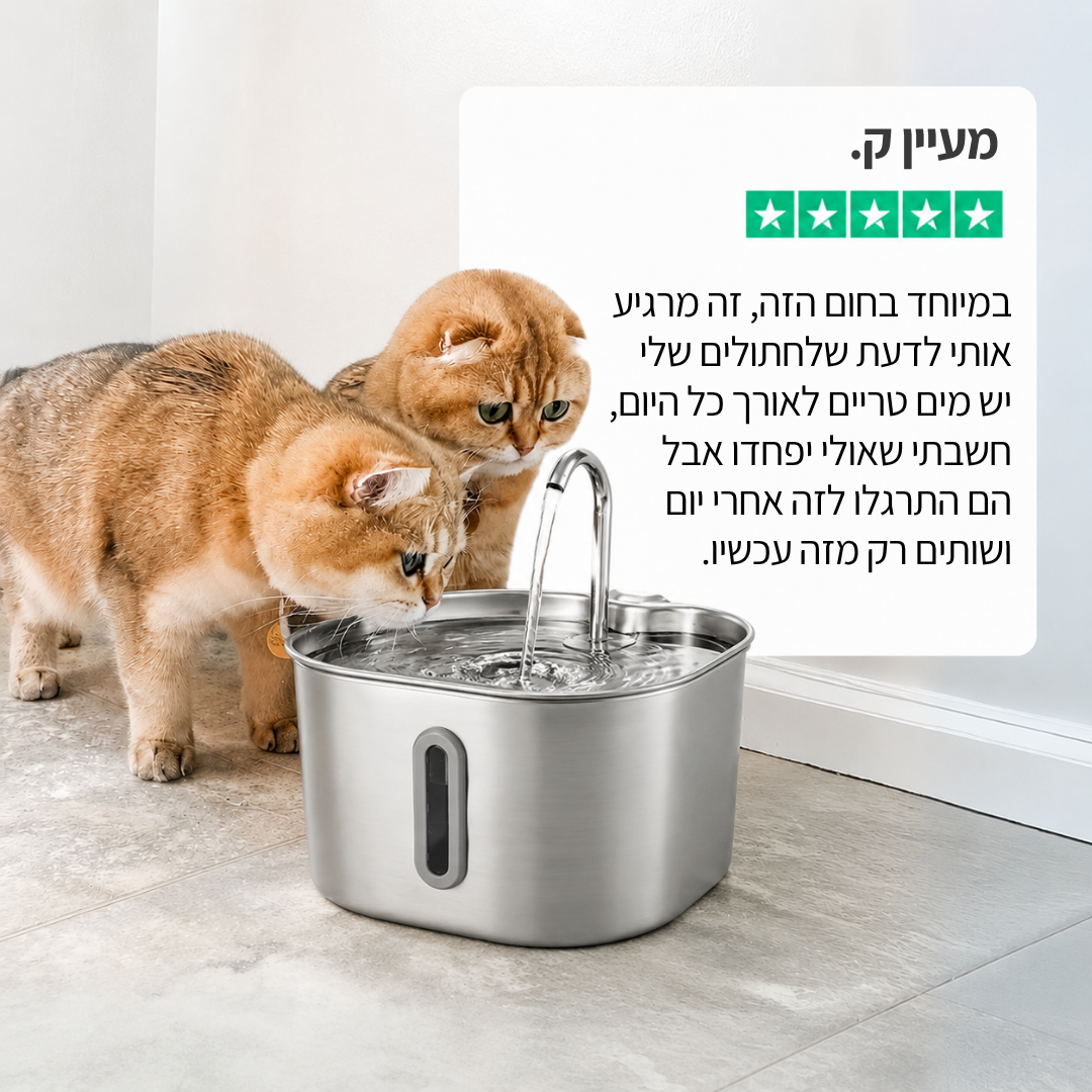 מזרקת proper - לחתול בריא