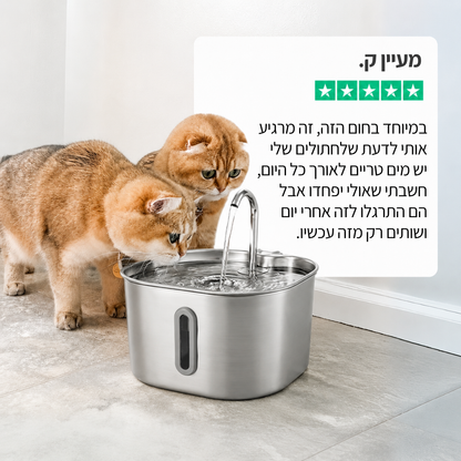 מזרקת proper - לחתול בריא