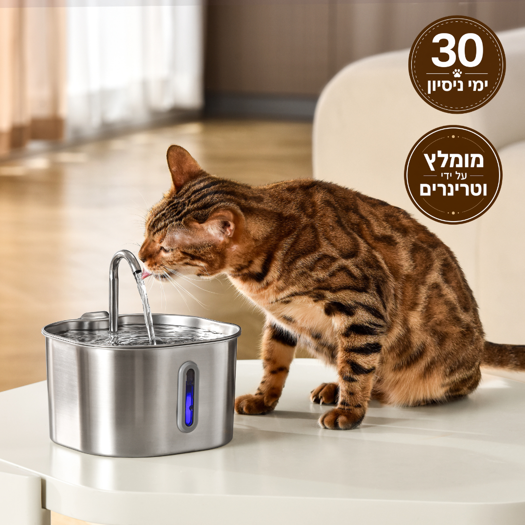 מזרקת proper - לחתול בריא