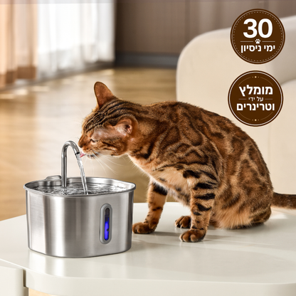 מזרקת proper - לחתול בריא