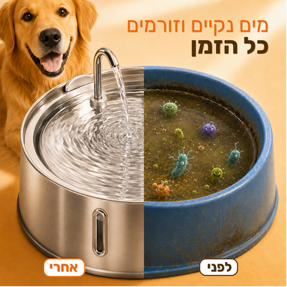 מזרקת פרופר - 2.2 ליטר