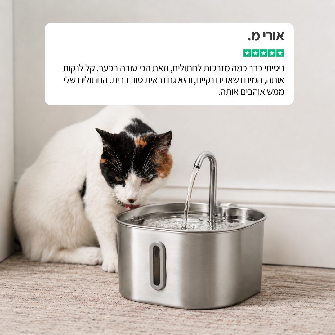 מזרקת proper - לחתול בריא