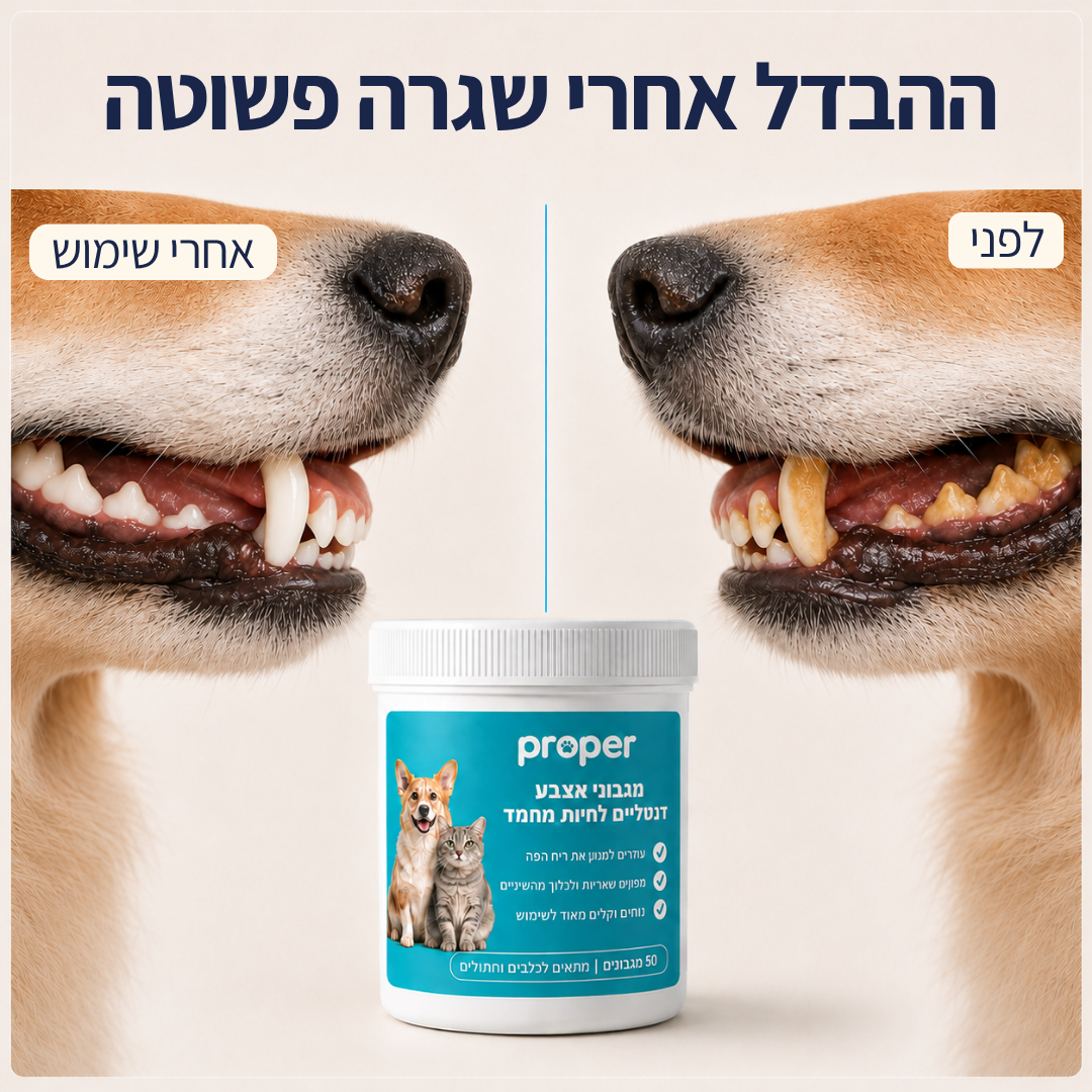 מגבוני אצבע טבעיים לשיניים בריאות
