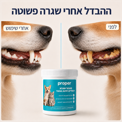 מגבוני אצבע טבעיים לשיניים בריאות