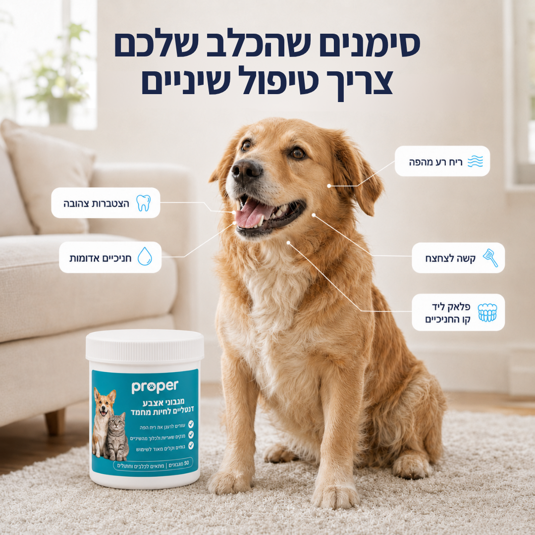 מגבוני אצבע טבעיים לשיניים בריאות