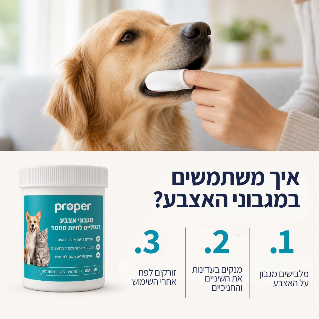 מגבוני אצבע טבעיים לשיניים בריאות
