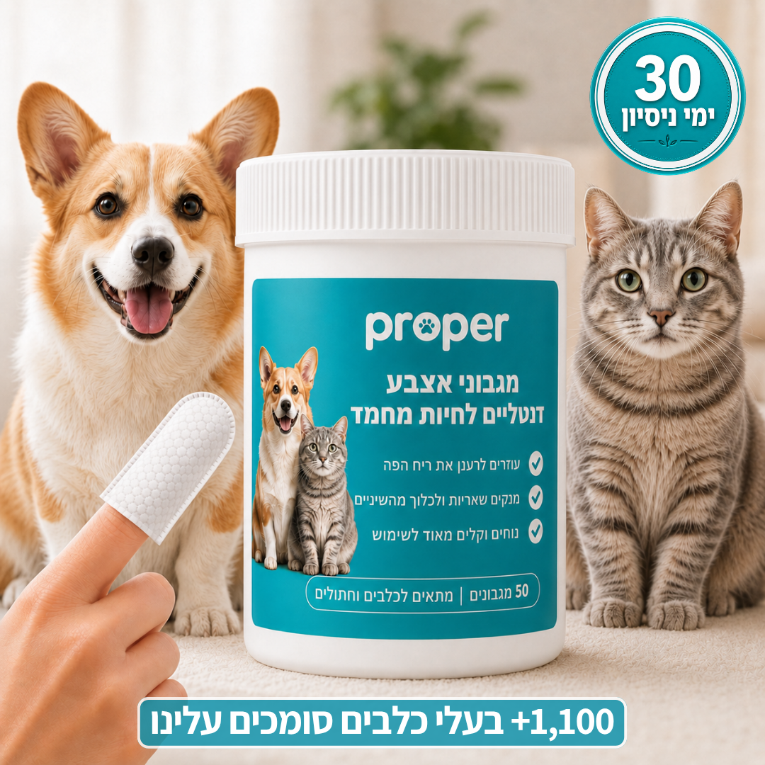 מגבוני אצבע טבעיים לשיניים בריאות