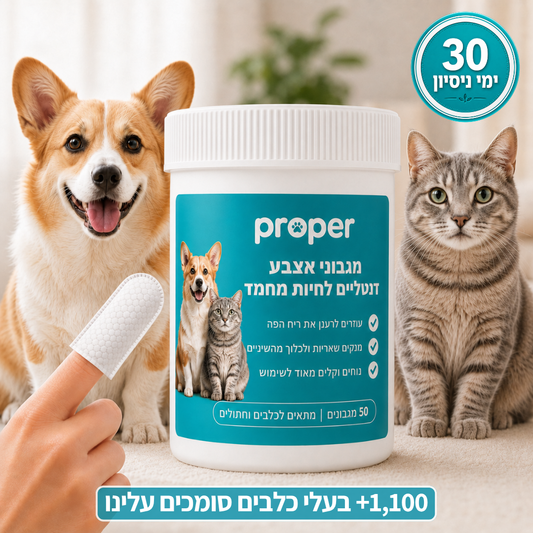 מגבוני אצבע טבעיים לשיניים בריאות