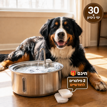 מזרקת פרופר - 4 ליטר