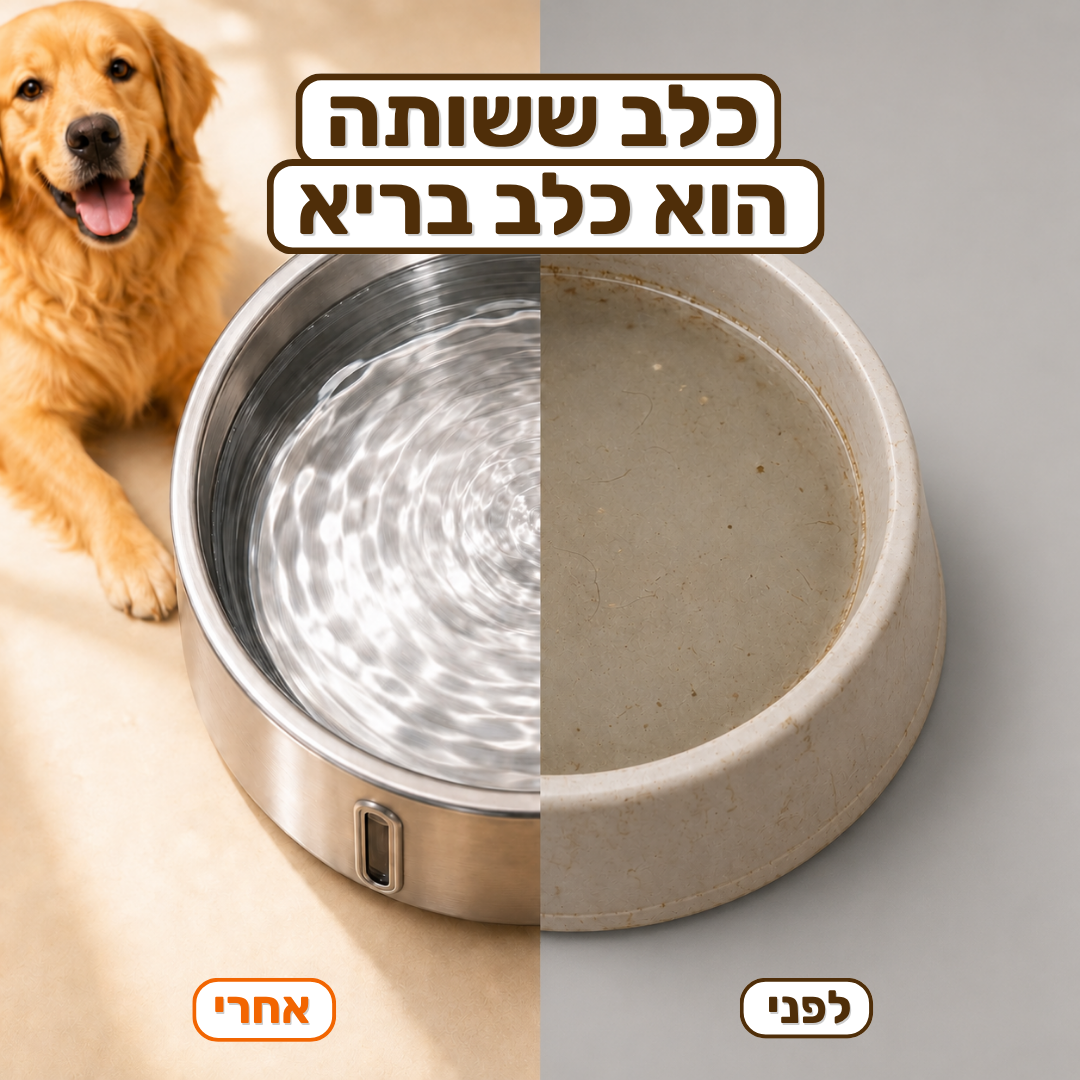 מזרקת פרופר - 4 ליטר